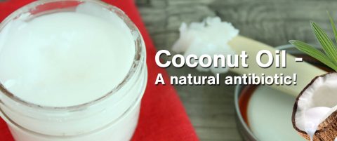 Coconut oil natural antibiotic